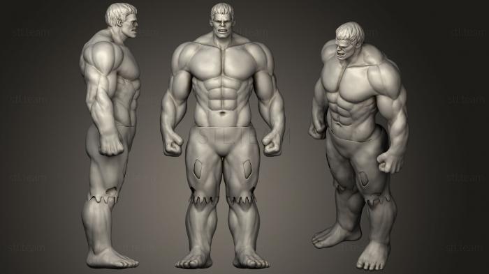 3D model Hulk Fan Art (STL)